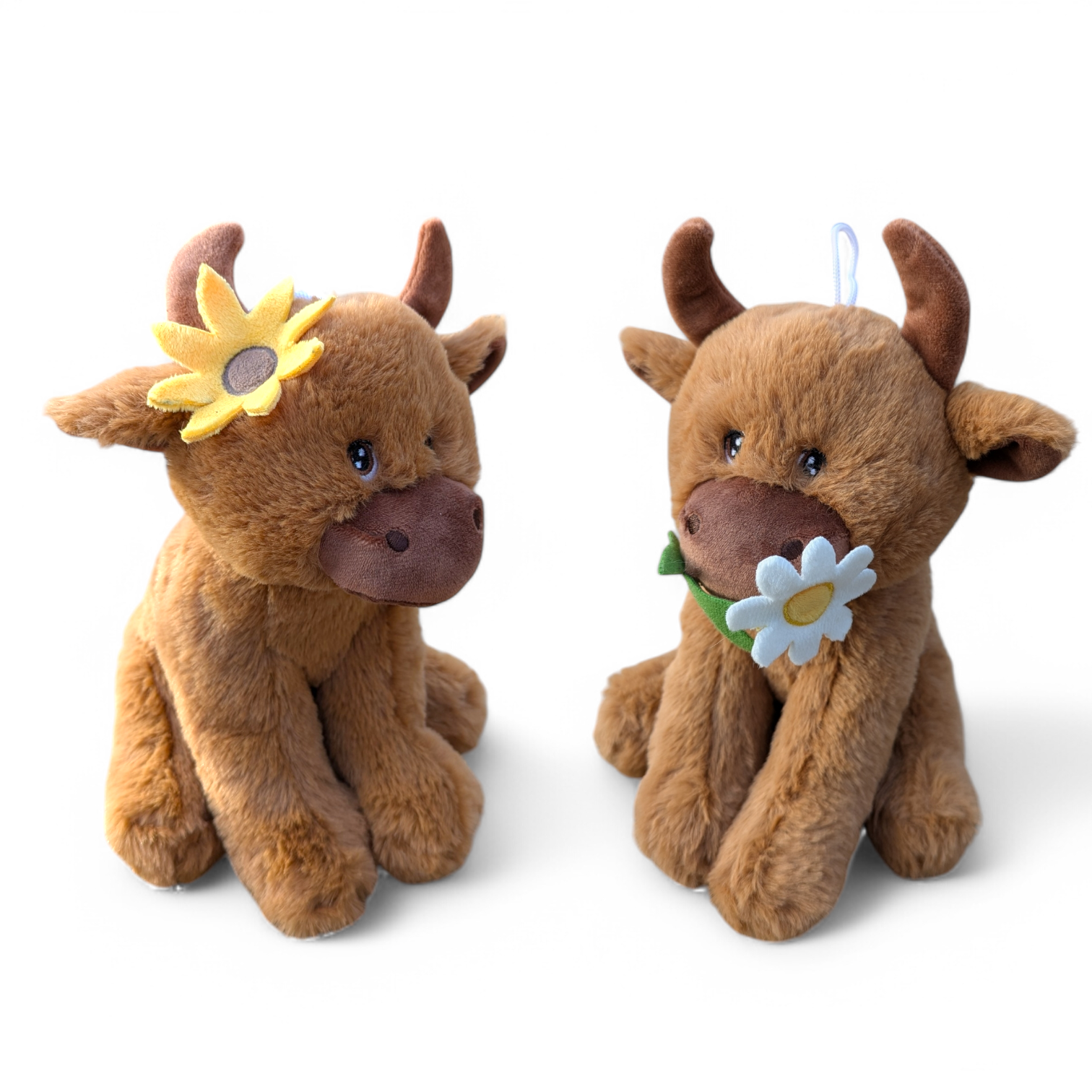 Highland cow with flower