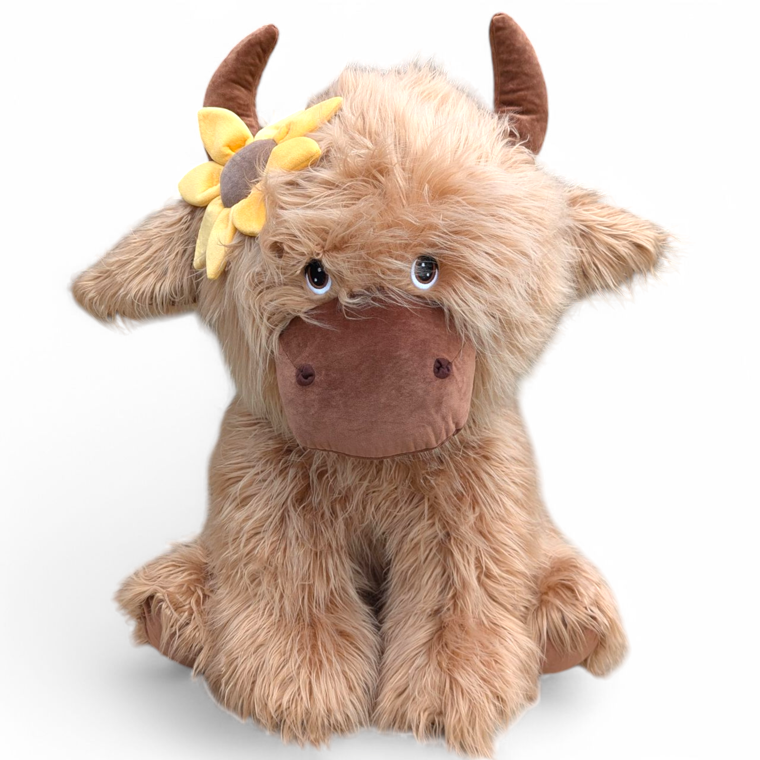Giant Highland cow with hair flower