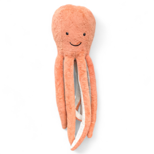 Giant Octopus