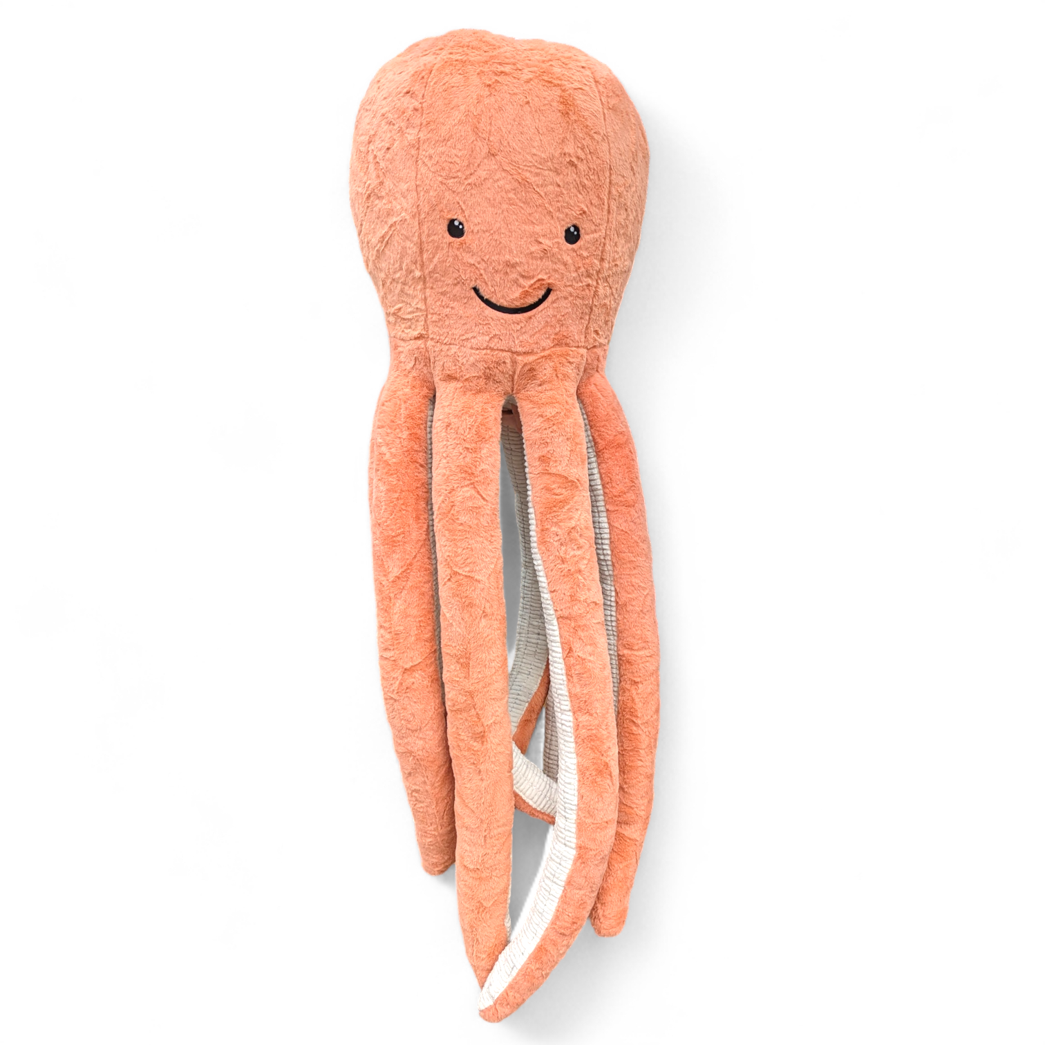 Giant Octopus